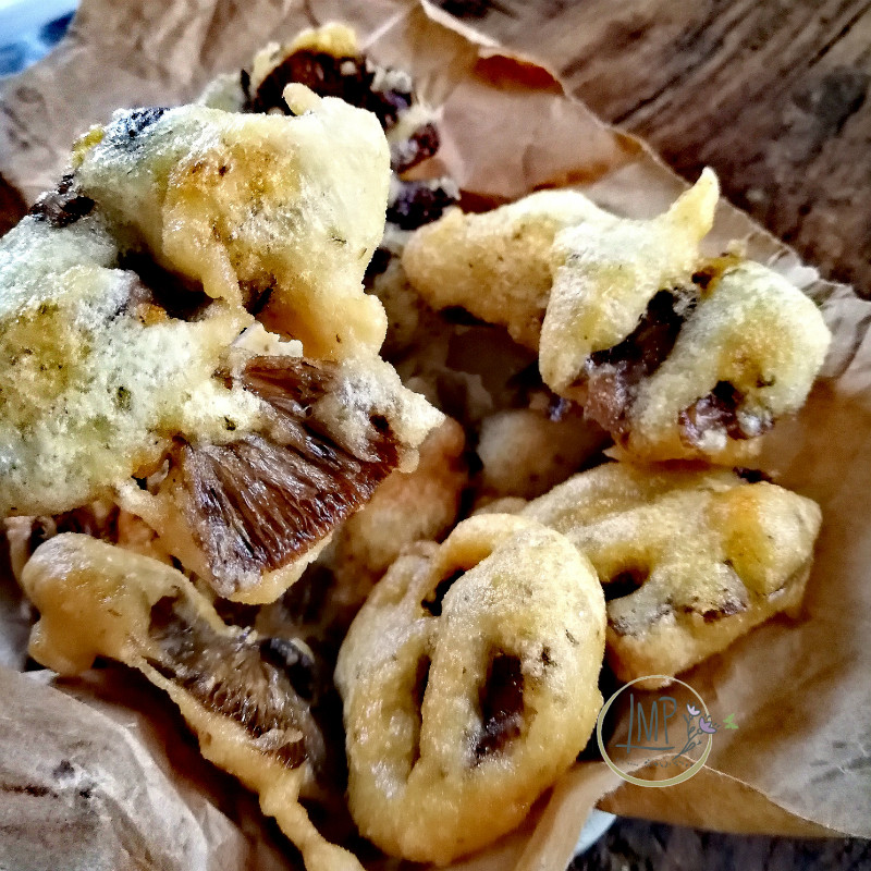 frisceu_Frittelle-di-funghi-senza-uova-frisceu_by_maggioranapersa